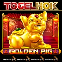 Golden Pig